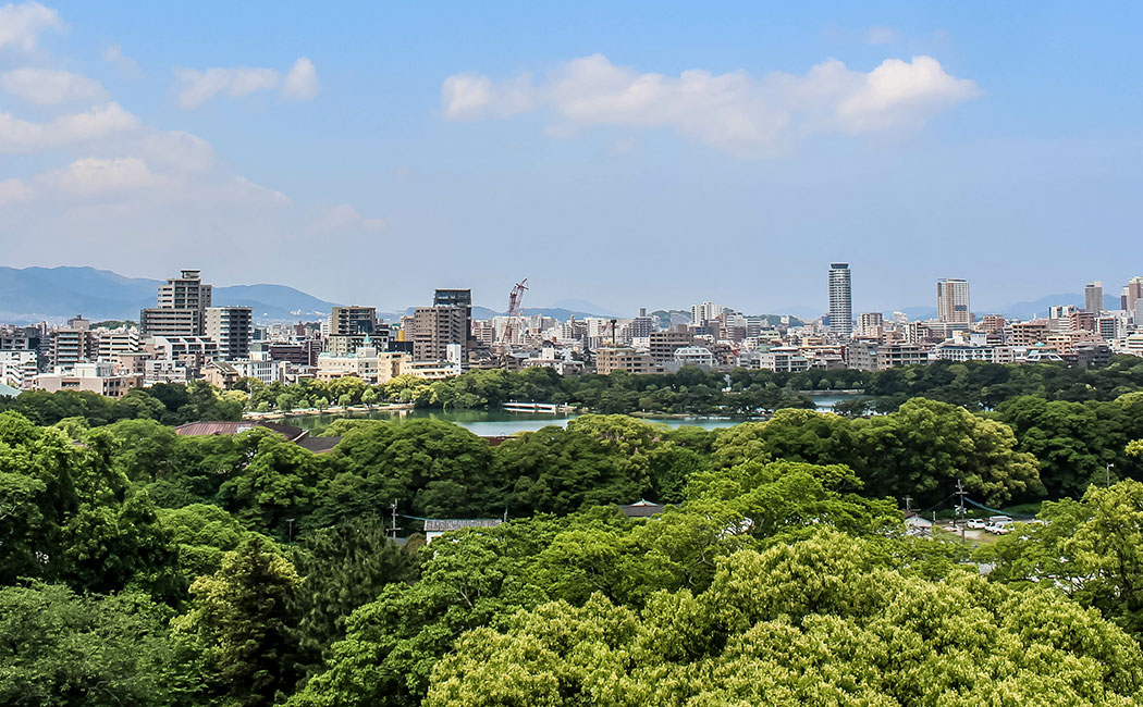 Trees and city in the background